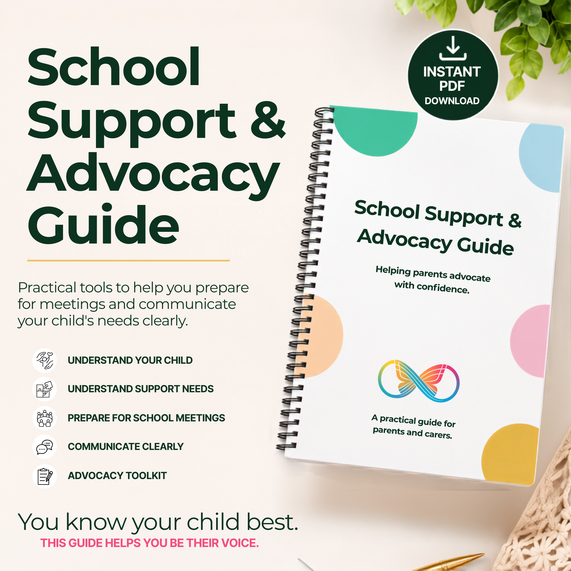 School & Advocacy
